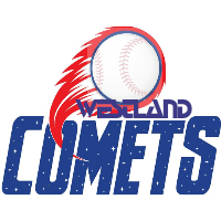 Westland Comets